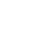 Celebrity Inauguration 